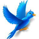 flying_bird icon