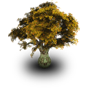 Tree_Archigraphs icon