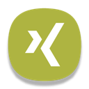 Xingv icon
