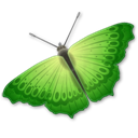 Butterfly icon
