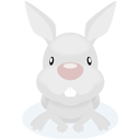 Rabbit icon