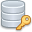database_key icon