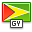 flag_guyana icon