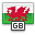 flag_wales icon