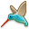 hummingbird icon