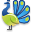 peacock icon