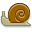 snail icon