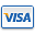 visa icon
