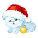 symbol_of_the_new_year icon