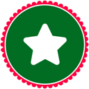 Christmas-Star icon