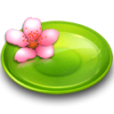 Plate-Flower icon