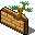 Bonsai icon