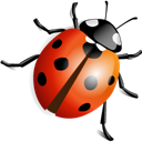 marienkaefer icon