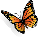 schmetterling icon