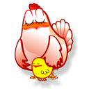 gallina icon