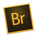 Br icon
