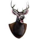 Deer-Head icon
