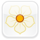 Magnolia icon