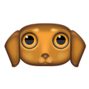 dachshund icon