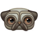 pug icon