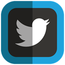 twitter icon