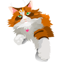 cat icon