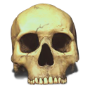 Skull icon