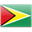 Guyana icon