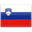 Slovenia icon