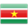 Suriname icon