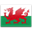 Wales icon