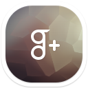 Google+ icon