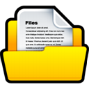 Files icon