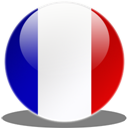 france icon