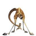 Melman-2-icon