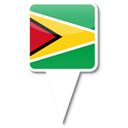 Guyana icon