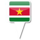 Suriname icon