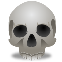 skull icon