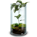 Mossy-Terrarium icon
