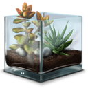 Succulent-Terrarium icon