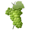 grapes icon