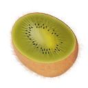 kiwi icon
