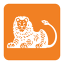 ing icon