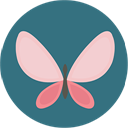 Butterfly icon