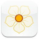 Magnolia icon