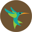 hummingbird icon