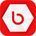 bebo icon