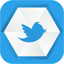 twitter icon