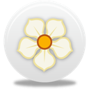 Magnolia icon
