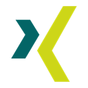 Xing-Icon